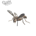 پازل چوبی ملخی ویلسون