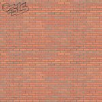 زیپاتن رنگی