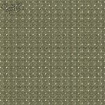 زيپاتن رنگي