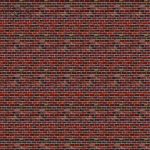 زيپاتن رنگي